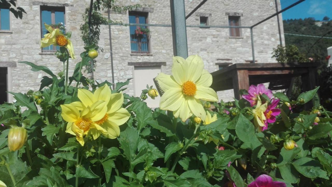 Monte Grimano Terme Casale Le Fontanelle酒店 外观 照片