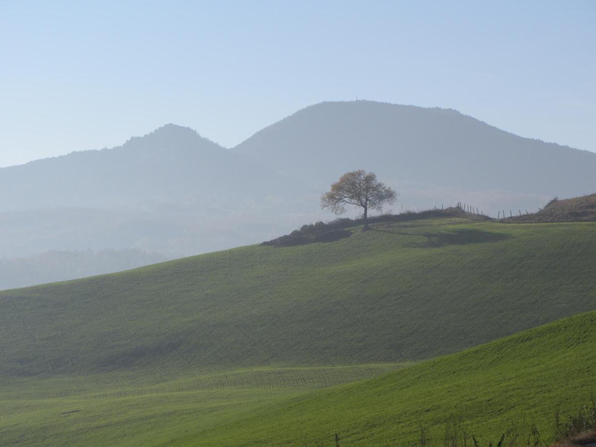 Monte Grimano Terme Casale Le Fontanelle酒店 外观 照片