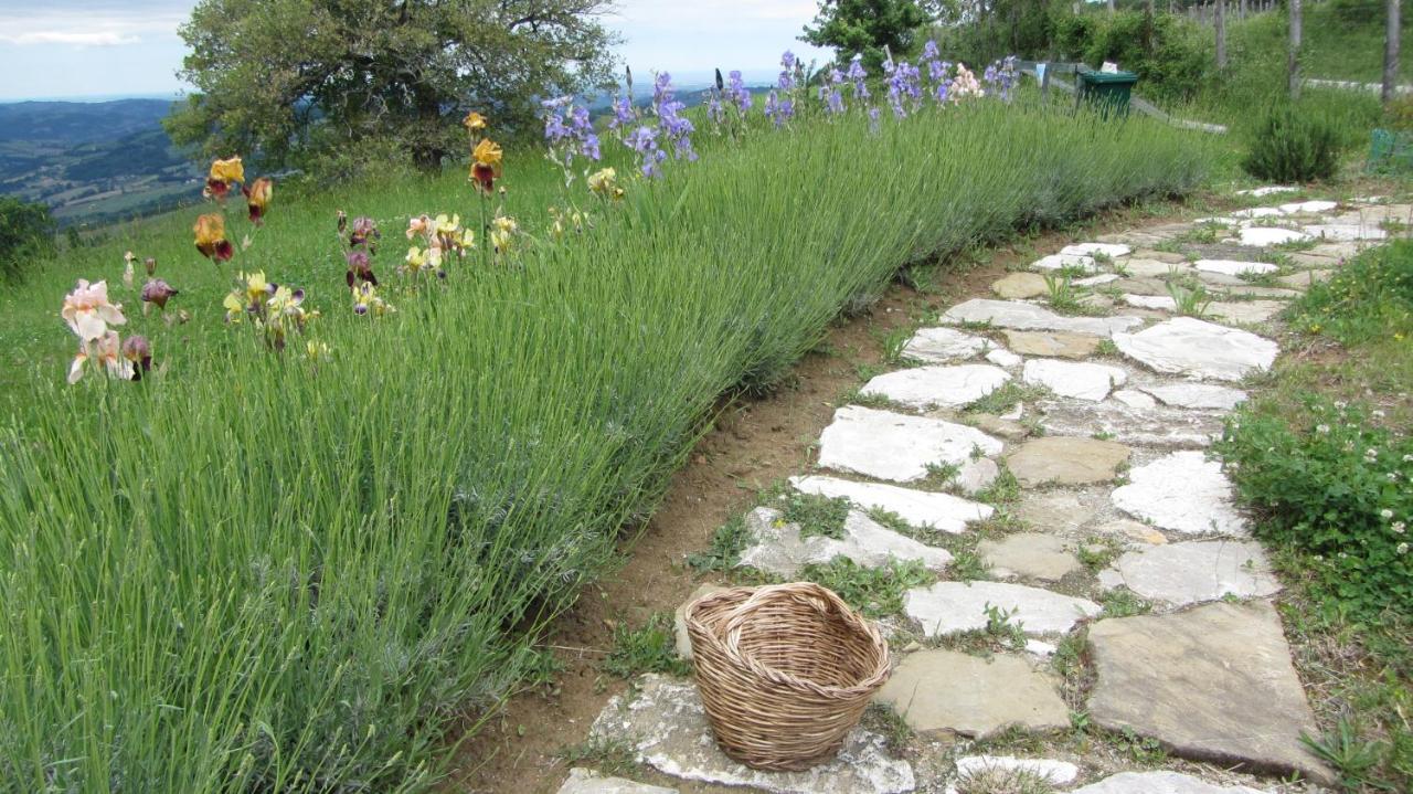Monte Grimano Terme Casale Le Fontanelle酒店 外观 照片