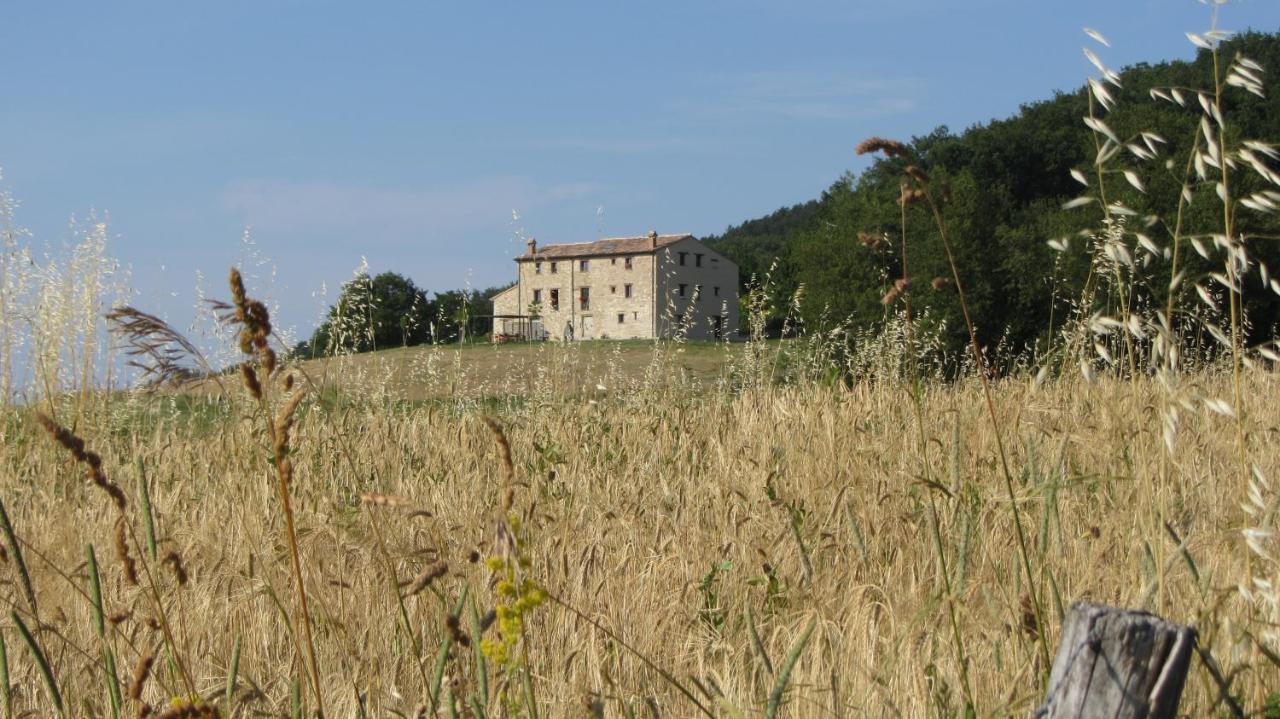 Monte Grimano Terme Casale Le Fontanelle酒店 外观 照片