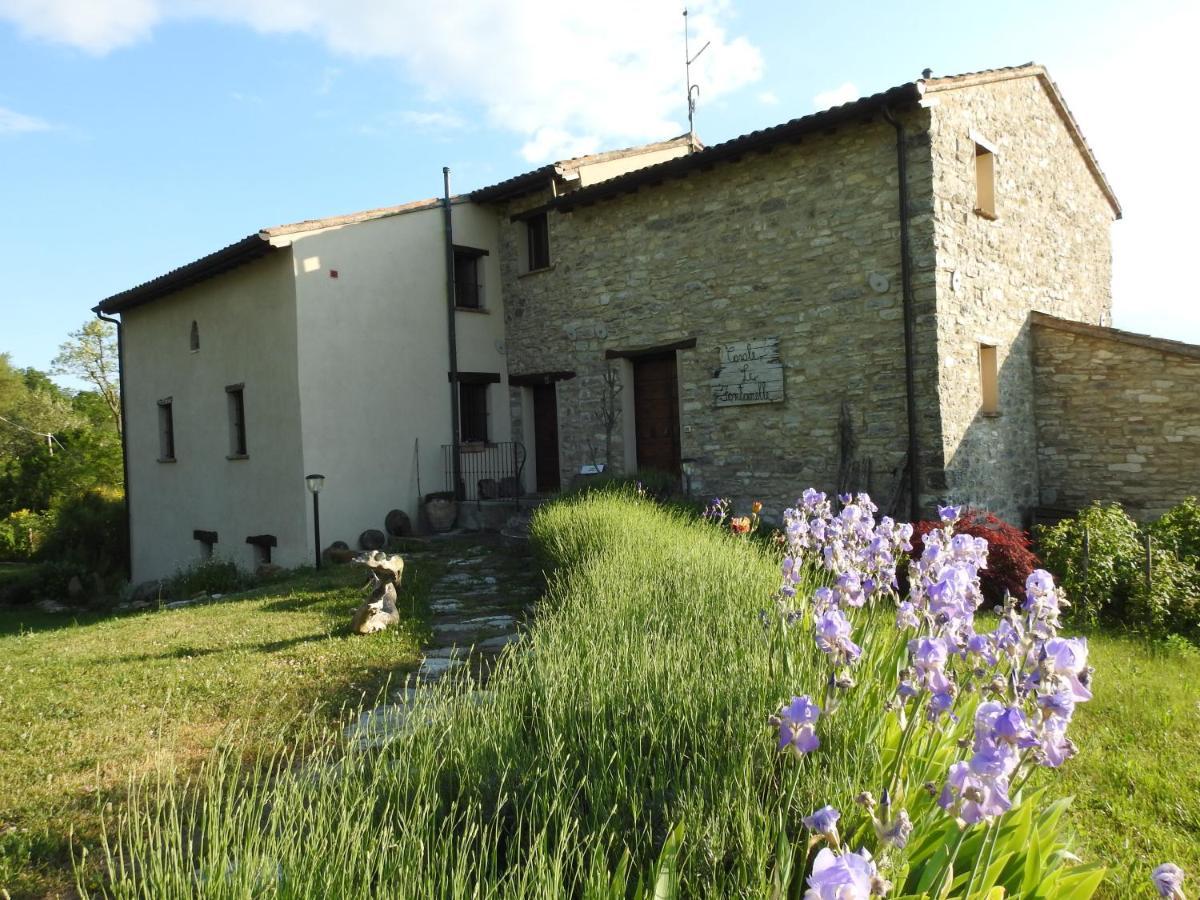 Monte Grimano Terme Casale Le Fontanelle酒店 外观 照片